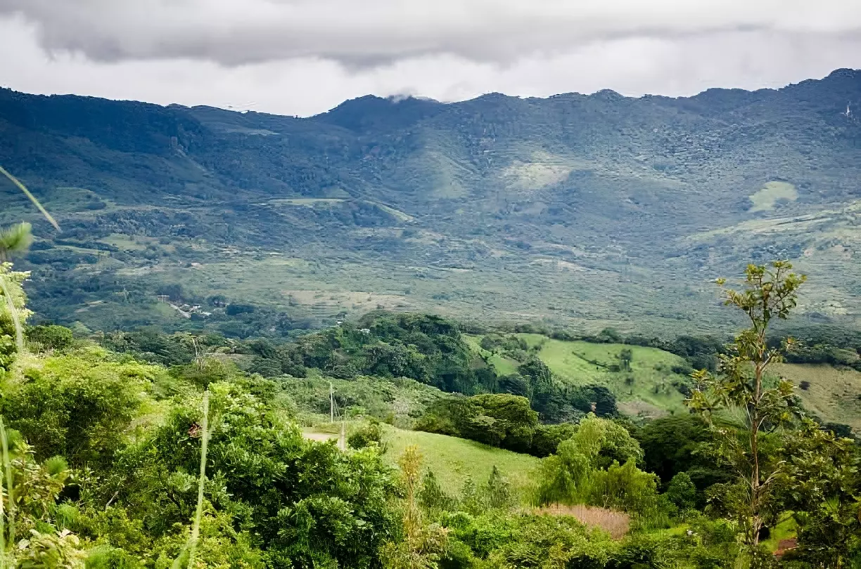 Chaîne de montagnes du parc national d’Altos de Campana, Panama